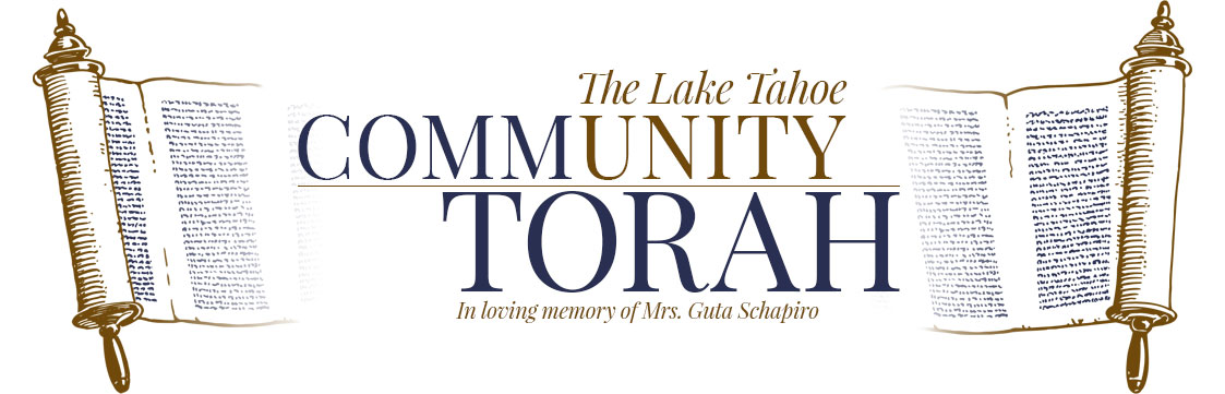 Torah Campaign